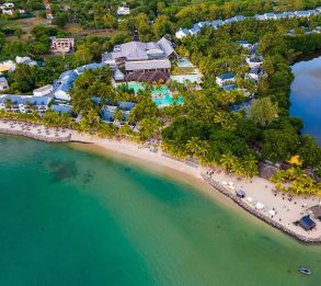 THE RAVENALA  ATTITUDE